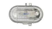 Lampy pozostałe - Lena Lighting Lampa oval 100w e27 popielaty klosz przezroczysty I100178 - miniaturka - grafika 1