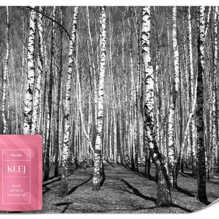 FOTOTAPETA DO SYPIALNI SALONU CZARNO-BIAŁY PEJZAŻ LAS WE MGLE 3D 100x70 - Fototapety FOTOTAPETA DO SYPIALNI SALONU CZARNO-BIAŁY PEJZAŻ LAS WE MGLE 3D 100x70 - Fototapety - miniaturka - grafika 1