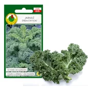 Nasiona i cebule - JARMUŻ WYSOKI HALBHOHER GRUNER KRAUSER NASIONA BEZ GMO - miniaturka - grafika 1