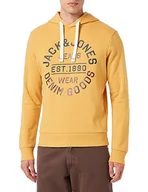 Bluzy męskie - Bestseller A/S Męska bluza z kapturem Jjmikk Sweat Hood, Honey Gold/Print:big, S - miniaturka - grafika 1