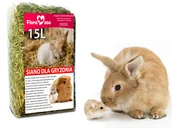 Podłoże dla gryzoni - SIANO DLA GRYZONI KRÓLIKA ŚWINKI MORSKIEJ 15L - miniaturka - grafika 1