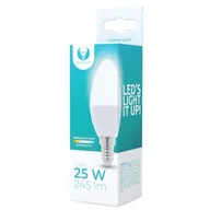 Halogeny - Forever Light Żarówka LED RTV003434 3W E14 RTV003434 - miniaturka - grafika 1