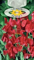 Nasiona i cebule - Groszek pachnący czerwony 3g - miniaturka - grafika 1