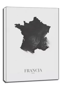 Francja mapa czarno biała - obraz na płótnie Wymiar do wyboru: 40x50 cm - Obrazy i zdjęcia na płótnie - miniaturka - grafika 1