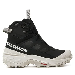 Trekkingi Salomon Crosstrak Powder Waterproof L47569700 Czarny - Buty trekkingowe męskie - miniaturka - grafika 1
