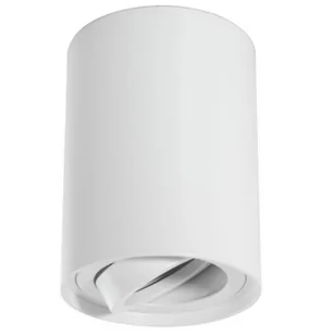 Masterled Valse lampa sufitowa tuba kierunkowa biała 1124lv - Lampy sufitowe - miniaturka - grafika 1