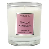 Świece - CERERIA MOLLA Świeca Santiago 230 gr. Nordic Angelica - CERERIA MOLLA B3-IMP-CM-5503 - miniaturka - grafika 1