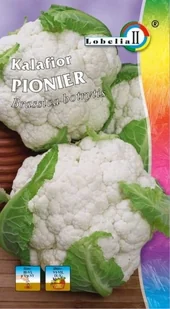 Kalafior Pionier 1g / L / - Nasiona i cebule - miniaturka - grafika 1