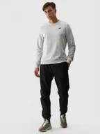 Spodnie sportowe męskie - Męskie spodnie casual joggery 4F 4FWMM00TTROM0944 - czarny - miniaturka - grafika 1