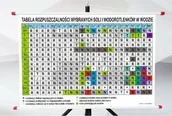 Pomoce naukowe - Plansza - TABELA ROZPUSZCZALNOŚCI WYBRANYCH SOLI I WODOROTLENKÓW W WODZIE - miniaturka - grafika 1