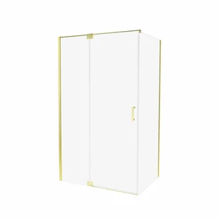 Kabina prysznicowa uchylna  100 x 90 x 200 Swing Wellneo - Kabiny prysznicowe - miniaturka - grafika 1