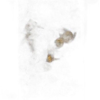 Hortex Śliwka 2,5 kg