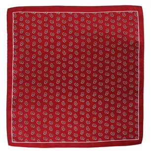 Elegancka Czerwona Poszetka Męska - ALTIES - Łezka, Wzór Paisley - Alties - Apaszki i szaliki męskie - miniaturka - grafika 1