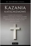 Religia i religioznawstwo - Kazania katechizmowe 3 - miniaturka - grafika 1