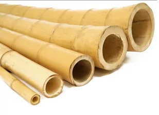 Bambus Dekoracyjny, Gruby, Ozdobny 240 cm 40/45 mm - Pozostałe akcesoria do uprawy roślin - miniaturka - grafika 1