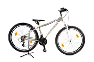 Rowery - Kross Espera 1.1 D 26 S(15") rower srebrny/biały mat - miniaturka - grafika 1