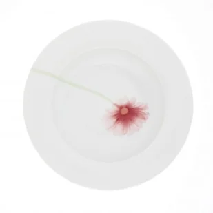 Kahla Talerz głęboki 23 cm Aronda Fresh Poppy KH-453416A74270A - Talerze - miniaturka - grafika 2