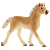 Figurki dla dzieci - Schleich Figurka Źrebię rasy Haflinger SLH13814 - miniaturka - grafika 1