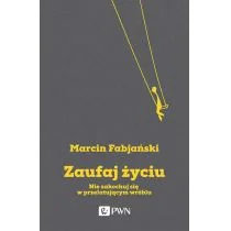 Fabjański Marcin Zaufaj życiu - mamy na stanie, wyślemy natychmiast - Psychologia - miniaturka - grafika 2