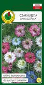 Nasiona i cebule - Czarnuszka damasceńska mieszana 2 g PNOS - miniaturka - grafika 1