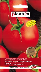 NASIONA Pomidor Gruntowy Karłowy Etna Mieszaniec F1 0,5g PLANTICO 405509 - Nasiona i cebule NASIONA Pomidor Gruntowy Karłowy Etna Mieszaniec F1 0,5g PLANTICO 405509 - Nasiona i cebule - miniaturka - grafika 1