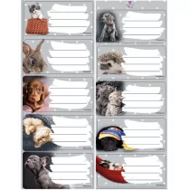 BENIAMIN Naklejki na zeszyty The Sweet Pets - Beniamin - Szkolne artykuły papiernicze - miniaturka - grafika 2