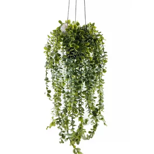 Sztuczna roślina wisząca SENECIO, 60 cm - Sztuczne kwiaty - miniaturka - grafika 1