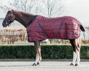 Derka stajenna 200g AW 22/23 - QHP - saddlery - Derki dla konia - miniaturka - grafika 1