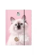 Teczki i skoroszyty - Teczka z gumką A4 Cleo i Frank 45 (kot) DERFORM - miniaturka - grafika 1