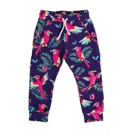 Spodnie i spodenki dla chłopców - Spodnie Fioletowa Papuga - miniaturka - grafika 1