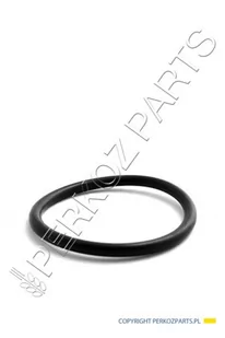 NEW HOLLAND CASE ORING CASE CNH 181144A1 181144A1 - Części i akcesoria do maszyn rolniczych - miniaturka - grafika 1