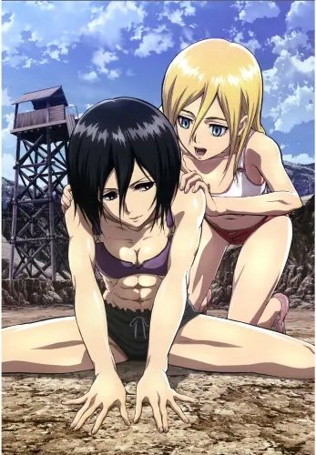 Plakat Anime Attack on Titan aot_038 A2 (custom)