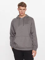 Bluzy męskie - Columbia Bluza Trek™ Hoodie Szary Regular Fit - miniaturka - grafika 1