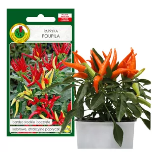 PAPRYKA POUPILA SŁODKA DONICZKOWA NASIONA BEZ GMO - Nasiona i cebule - miniaturka - grafika 1