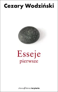 Słowo obraz terytoria Esseje pierwsze - Cezary Wodziński - Filozofia i socjologia - miniaturka - grafika 1