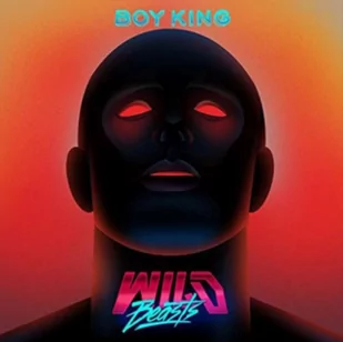 Boy King (Wild Beasts) (CD / Album) - Inna muzyka - miniaturka - grafika 1