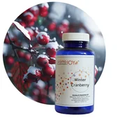 Zapachy do domu - WINTER CRANBERRY - Kompozycja Zapachowa 200 ml - miniaturka - grafika 1
