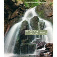 Nauki przyrodnicze - Przyroda polski - miniaturka - grafika 1