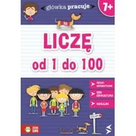 Książki edukacyjne - Zielona Sowa Główka Pracuje Liczę od 1 do 100 - Iwona Orowiecka - miniaturka - grafika 1
