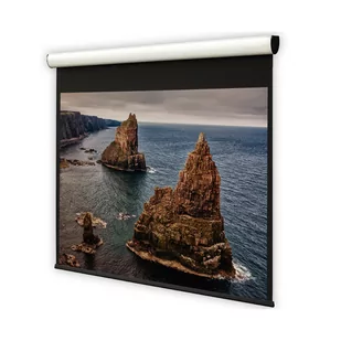 DELUXX ekran elektryczny Cinema Elegance 284 x 209 cm biały mat Varico Flat - Ekrany projekcyjne - miniaturka - grafika 1