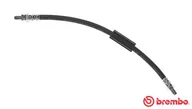 Przewody hamulcowe - BREMBO PRZEWÓD HAMULCOWY GIĘTKI T24129 - miniaturka - grafika 1