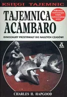 Archeologia - Tajemnica Acambaro - miniaturka - grafika 1