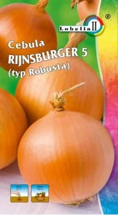 Cebula Rijnsburger późna 5g / L / - Nasiona i cebule - miniaturka - grafika 1