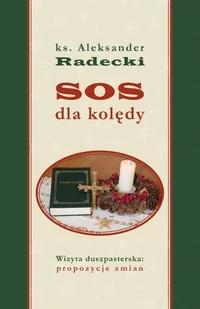 Homo Dei SOS dla kolędy. Wizyta duszpasterska.. Ks. Aleksander Radecki - Religia i religioznawstwo - miniaturka - grafika 2