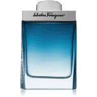 Wody i perfumy męskie - Salvatore Ferragamo Subtil pour Homme Woda toaletowa 100ml - miniaturka - grafika 1