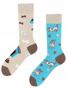 SKARPETKI Todo Socks Jack Russel Piesek Kość 35-38 - Skarpetki dla dzieci - miniaturka - grafika 1