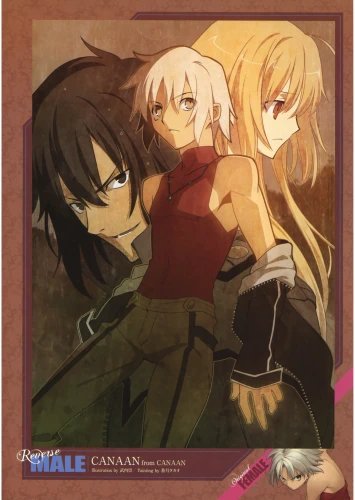Plakat Anime Manga Canaan CAN_011 A3 (custom)