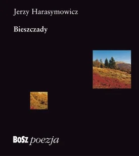 Bieszczady - Poezja - miniaturka - grafika 1