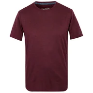 Koszulki sportowe męskie - Koszulka męska Regatta Fingal Edition Rozmiar: XL / Kolor: bordowy - miniaturka - grafika 1