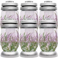 Lampiony i znicze - Znicze Bolsius 3S 16 Wrzos wkłady 36h 1,5 dnia 6 szuk - miniaturka - grafika 1